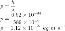 \\p=\frac{h}{\lambda }\\ p=\frac{6.62\times 10^{-34}}{589\times 10^{-9}}\\ p=1.12\times 10^{-27}\ kg\ m\ s^{-1}