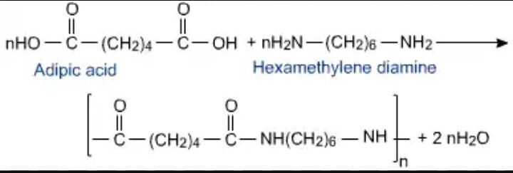 Synthesis Of Nylon 6 6 Lab Report