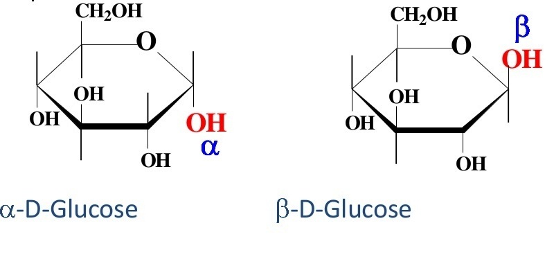 How to solve this problem- The term anomers of glucose ...