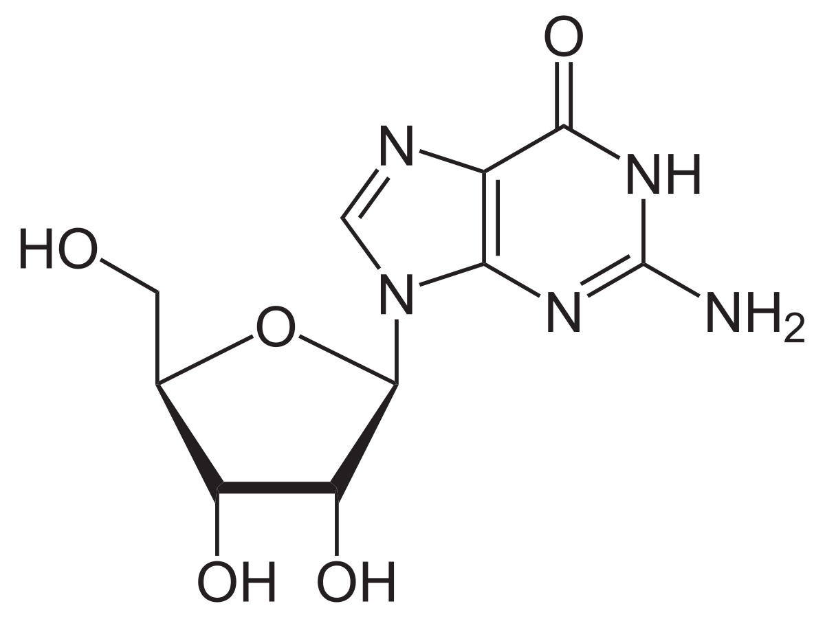 fig 22