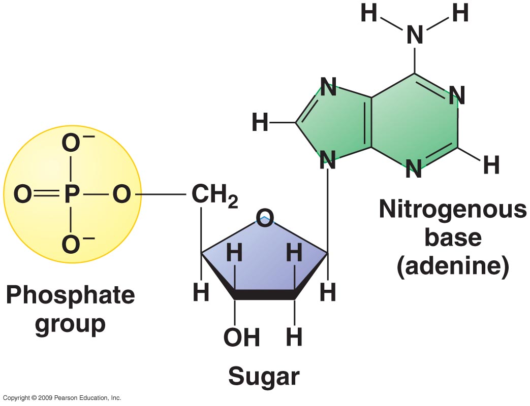 fig 23