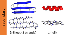 Secondary structures