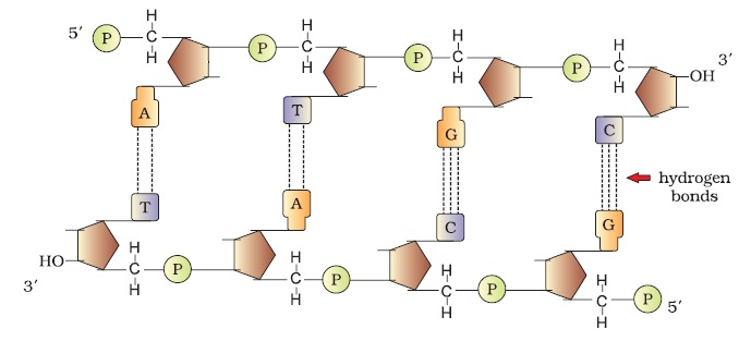 fig 15