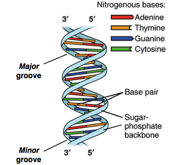 fig 16