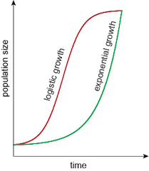 graph of exponential growth