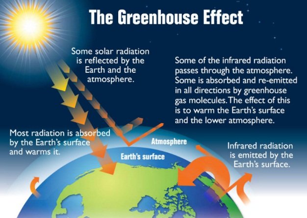 Need Explanation For Which One Of The Following Pairs Of Gases Are The Major Cause Of Greenhouse Effect