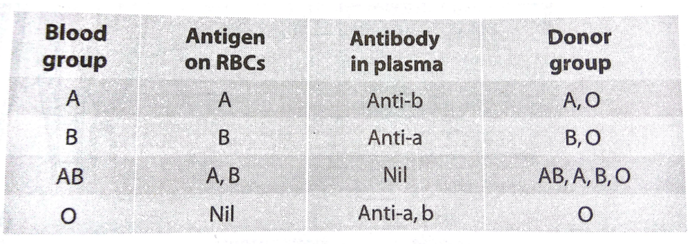 ABO blood group