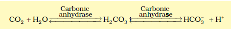 Carbonic Anhydrase