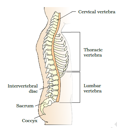 Identify the parts labelled as A to E in the given figure of a ...